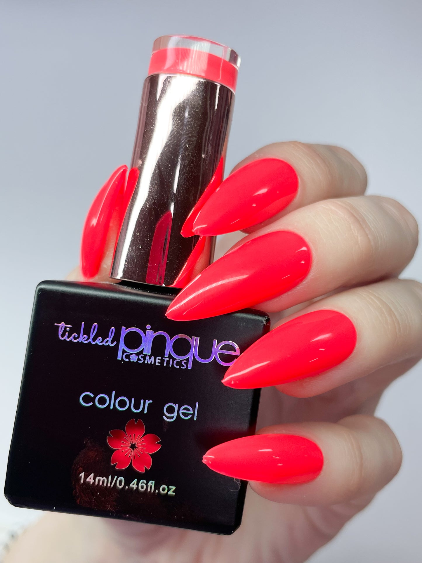 Colour Gel • 049 • Coast To Coral