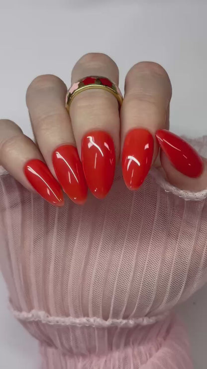 Colour Changing Gels • Set of 5 🔮