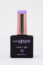 Load image into Gallery viewer, Colour Gel • 028 • Petite Purple
