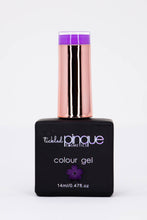 Load image into Gallery viewer, Colour Gel • 034 • Grape Glam

